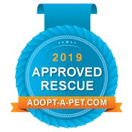 pitties-and-purs-approved-rescue