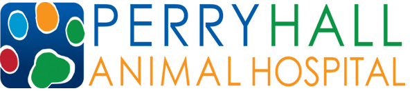 Perry Hall AH logo