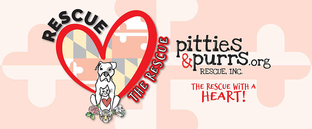 Pitties-&-Purs-Rescue-The-Rescue1