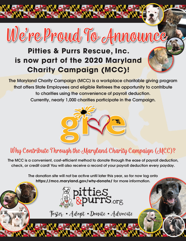 2020-Maryland-Charity-Campaign