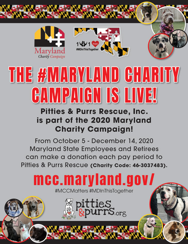 2020-Maryland-Charity-Campaign_GIVE-live